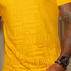 PL MALHA 61749 - Men's T-Shirt Logomania Gradient